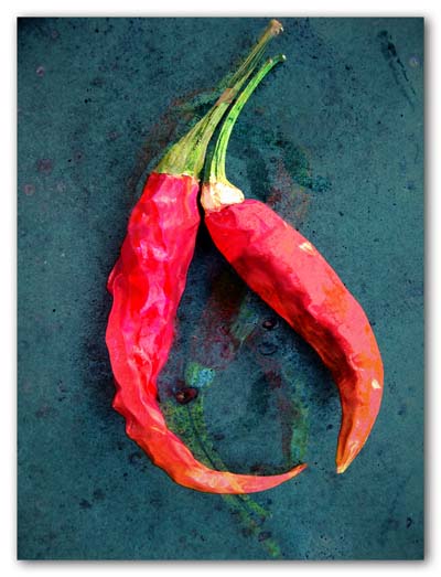 A couple of hot peppers - 2009