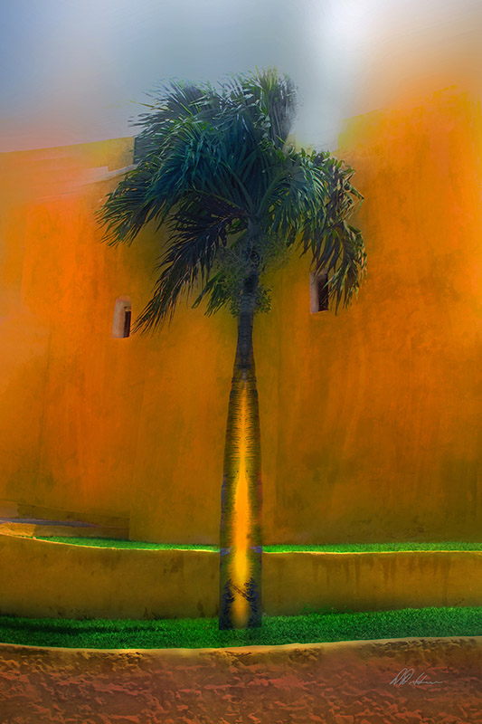Palm at Fort